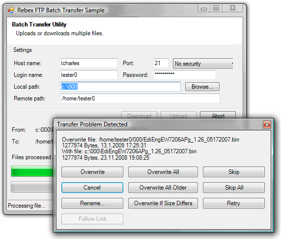 download all files ftp directory vb net remove